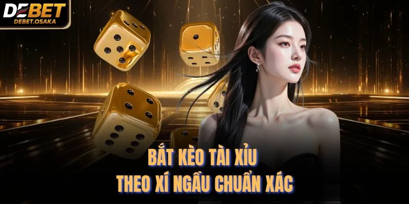 Bắt Kèo Tài Xỉu Theo Xí Ngầu - 4 Chiến Thuật Hay Của Debet 2 Bắt kèo tài xỉu theo xí ngầu chuẩn xác